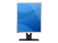 Dell Professional P1913S - LED-skärm - 19" RWK6N