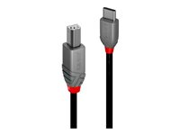 Lindy - USB typ C-kabel - 24 pin USB-C till USB typ B - 3 m 36943