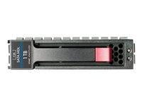 HPE Midline - hårddisk - 250 GB - SATA 3Gb/s 458926-B21