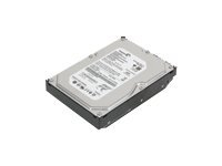 Lenovo - hårddisk - 500 GB - SATA 3Gb/s 43R1990