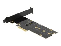 Delock - kontrollerkort - M.2 NVMe Card / PCIe 4.0 (NVMe) - PCIe 4.0 x4 89013