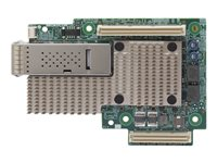 Broadcom BCM957504-M1100G16 - nätverksadapter - OCP - 100 Gigabit Ethernet x 1 BCM957504-M1100G16