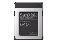 SanDisk PRO-CINEMA - Flash-minneskort - 640 GB - CFexpress, typ B SDCFEC-640G-GN4NN