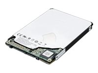 Lenovo - hårddisk - 2 TB - SATA 6Gb/s 4XB0S69181