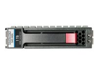 HPE - hårddisk - 1 TB - SAS 6Gb/s 507614-B21