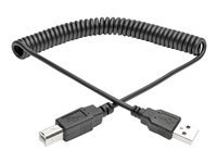 Eaton Tripp Lite Series USB 2.0 A to B Coiled Cable (M/M), 10 ft. (3.05 m) - USB-kabel - USB till USB typ B - 3.1 m U022-010-COIL