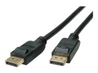 Roline - DisplayPort-kabel - DisplayPort till DisplayPort - 3 m 11.04.5812