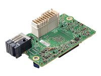 HPE Synergy 4610C - nätverksadapter - PCIe 3.0 x8 Mezzanine - 10Gb Ethernet/25Gb Ethernet x 2 813890-B21