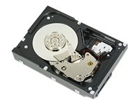 Dell - hårddisk - 1 TB - SAS 6Gb/s 3D2G1