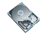 HPE - hårddisk - 160 GB - SATA 1.5Gb/s 411275-B21