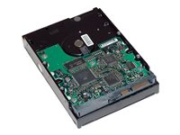 HP - hårddisk - 1 TB - SATA 3Gb/s GE262AA