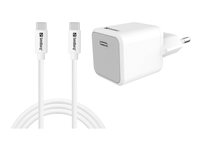 Sandberg strömadapter - 2-i-1 - 24 pin USB-C - 20 Watt - med USB-C to USB-C cable 441-58