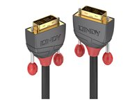 Lindy Anthra Line - DVI-kabel - DVI-D till DVI-D - 20 m 36242