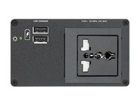 Extron AC+USB 212 MULTI - strömadapter 60-1384-10