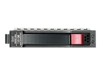 HPE Entry - hårddisk - 160 GB - SATA 3Gb/s 483095-001