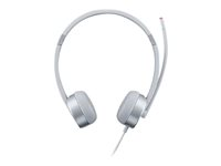 Lenovo 100 - headset GXD1E71386