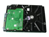 Dell - hårddisk - 250 GB - SATA 1.5Gb/s G998R