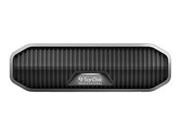 SanDisk - hårddisk - Enterprise - 4 TB - USB 3.2 Gen 2 SDPHF1A-004T-MBAAD