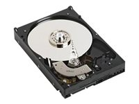 Dell - hårddisk - 1 TB - SATA 6Gb/s 400-ALEI