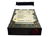 HPE - hårddisk - 250 GB - SATA 1.5Gb/s 399466-001