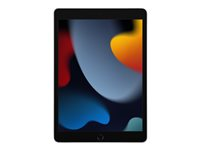 Apple 10.2-inch iPad Wi-Fi - 9:e generation - surfplatta - 256 GB - 10.2" MK2P3HC/A