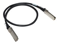 HPE Copper Cable - 100GBase direktkopplingskabel - 1 m R1N35A