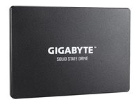 Gigabyte - SSD - 480 GB - SATA 6Gb/s GP-GSTFS31480GNTD