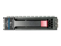 HPE Midline - hårddisk - 500 GB - SATA 3Gb/s 458928-S21