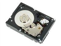 Dell Nearline - hårddisk - 2 TB - SAS 342-1209