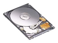 Dell - hårddisk - 160 GB - SATA 3Gb/s G996R