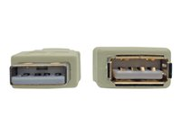 Eaton Tripp Lite Series 6ft USB 2.0 Hi-speed A/A Cable M/M 480 Mbps Beige, USB extension - USB-förlängningskabel - USB till USB - 1.83 m U024-006-BE