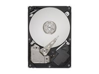 Dell - hårddisk - 1 TB - SATA 3Gb/s 7030W