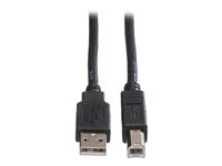 Roline - USB-kabel - USB till USB typ B - 4.5 m 11.02.8845