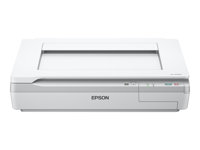 Epson WorkForce DS-50000 - Integrerad flatbäddsskanner - USB 2.0 B11B204131