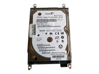 HP - hårddisk - 250 GB - SATA 3Gb/s 506774-001