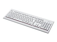 Fujitsu KB521 - tangentbord - polska - marmorgrå S26381-K521-L116