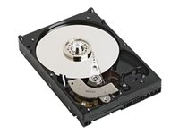 Dell - hårddisk - 4 TB - SATA 6Gb/s 400-AFNR