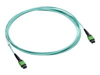 HPE Infiniband-kabel - 30 m P49765-B26