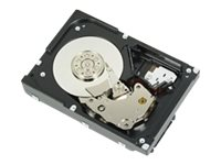 Dell - hårddisk - 300 GB - SAS 6Gb/s F617N