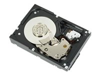 Dell - hårddisk - 1 TB - SATA 6Gb/s 400-AFNN