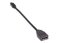 Black Box Video Adapter Dongle - DisplayPort-adapter - 20.3 cm VA-MDP12-DP12