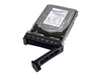 Dell Hot Plug - SSD - 400 GB - SATA 3Gb/s FPXMT