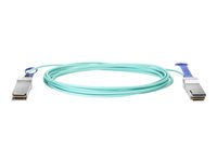 HPE Active Optical Cable - 100GBase direktkopplingskabel - 5 m Q9S71A