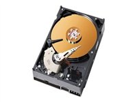 Dell - hårddisk - 80 GB - IDE XK786