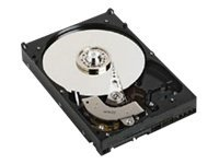 Dell - hårddisk - 2 TB - SATA 3Gb/s 59P14