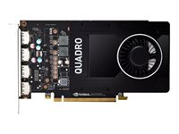 NVIDIA Quadro P2200 - grafikkort - Quadro P2200 - 5 GB PX8M5