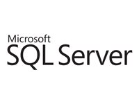 Microsoft SQL Server 2016 Standard - licens - 1 server 228-10833