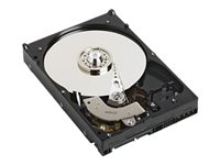 Dell - hårddisk - 750 GB - SATA DN5N2