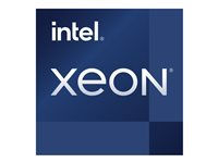 Intel Xeon E-2434 / 3.4 GHz processor - OEM CM8071505025205