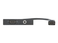 Extron Architectural Adapter Plate One HDMI Female to Female on 10" Pigtail, One 3.5 mm Stereo Mini Jack to Captive Screw - modulkontaktplatta med insnäppsfästen 70-1017-03